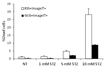 Islet Cell Death Figure 3