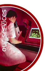 our services