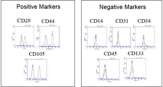 Cell surface marker profiles of human ASCs