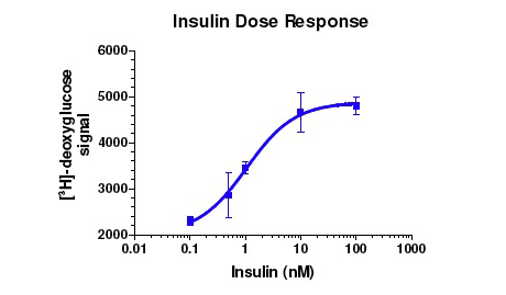 Glucose Uptake Figure 1