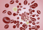 Human Blood Products - Zen-bio world-class molecular biology and research products and services