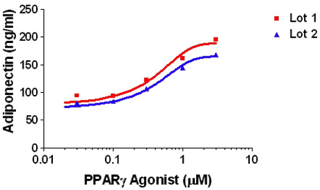 Protein Secretion Figure 1