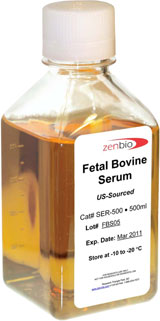 Bovine Serum